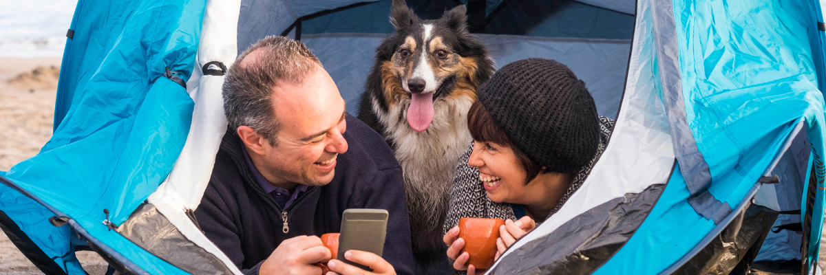 Are You a Pet Owner Thinking Of an Animal Attendant Job.webp