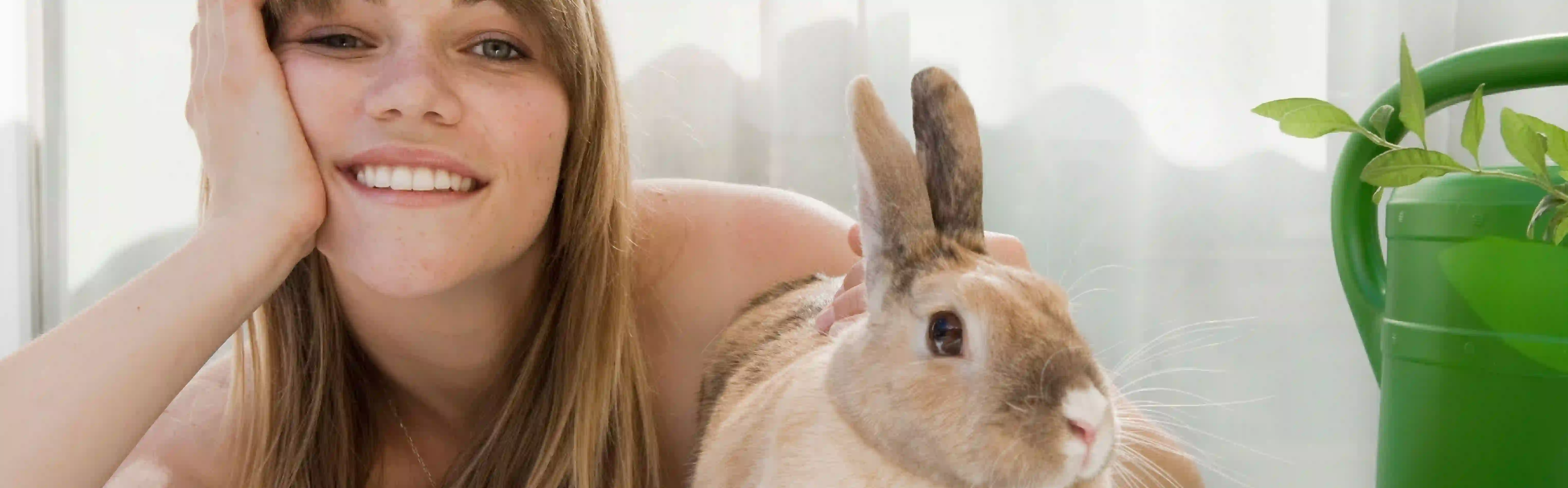 oca-keep-rabbits-warm.webp