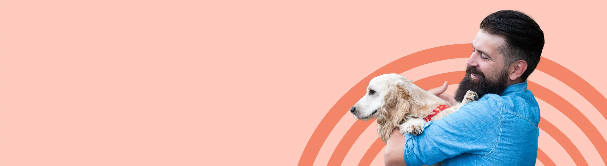 dog-psych-website-desktop-01.webp