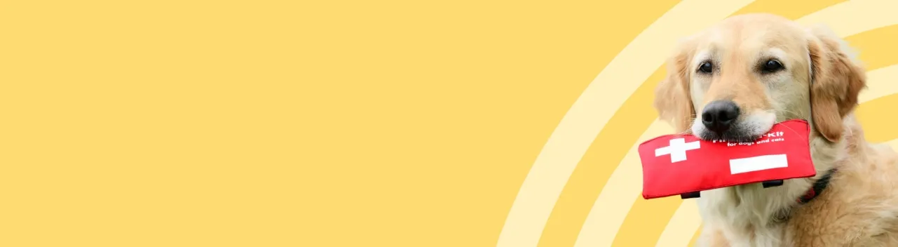 4528.webp