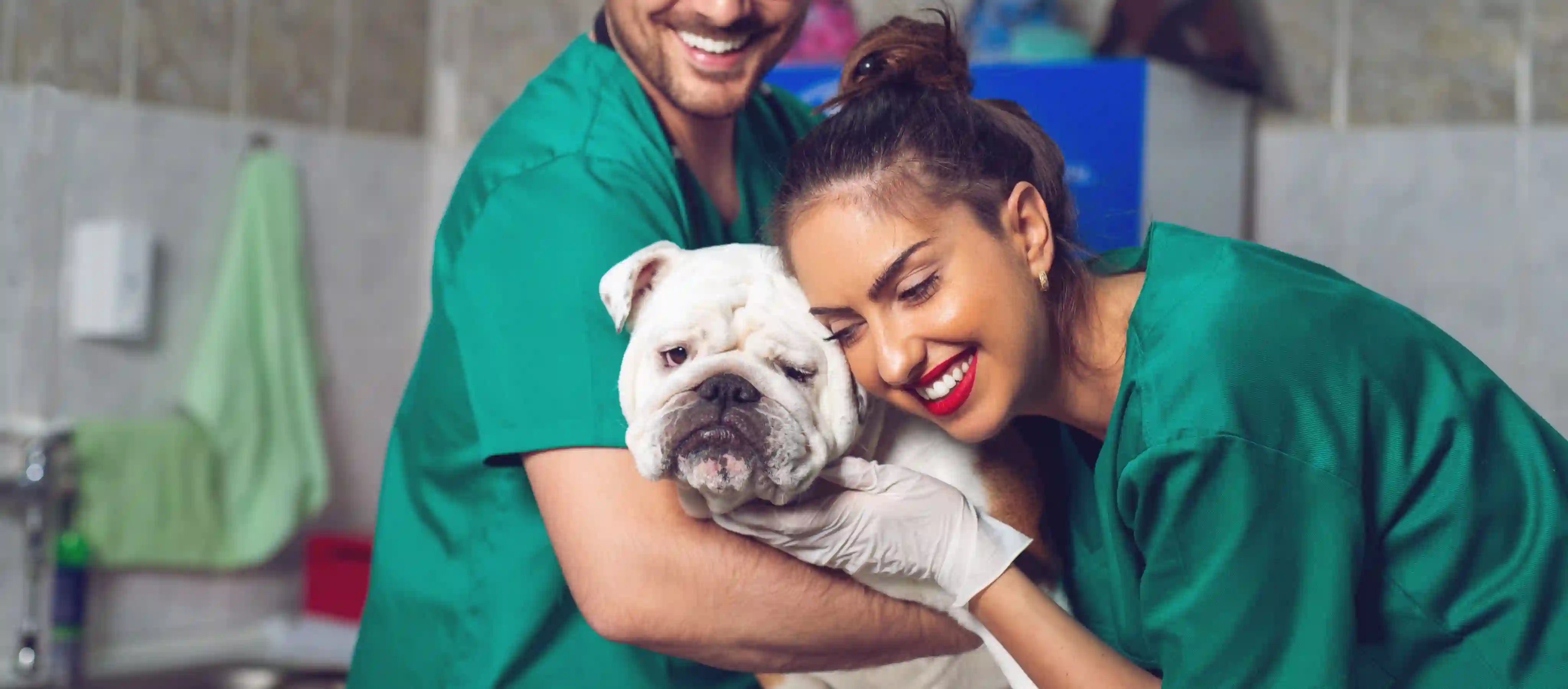 oca-veterinary-nurse.webp