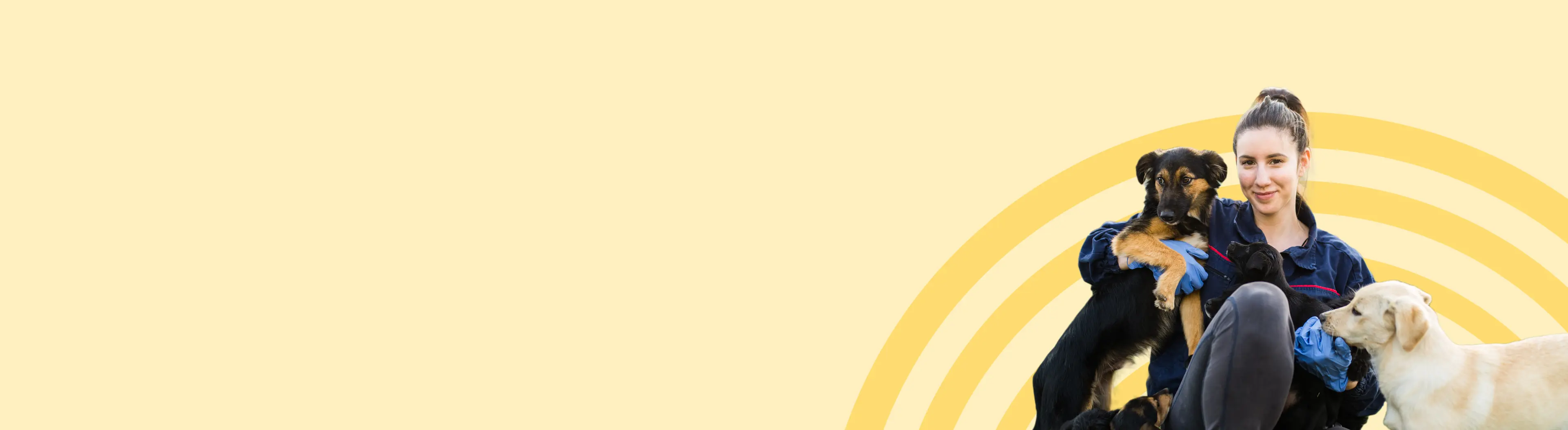 animals-category-banner-image-desktop.webp