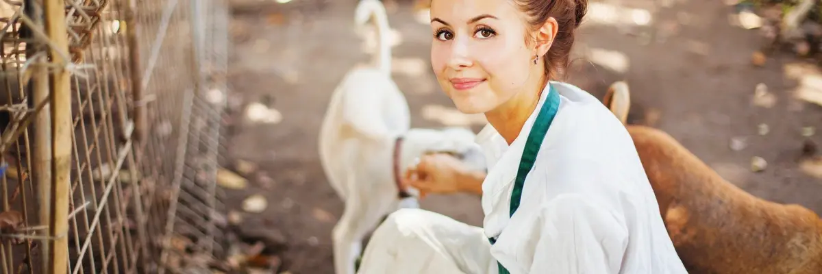 What Does an Animal Attendant Job Involve.webp